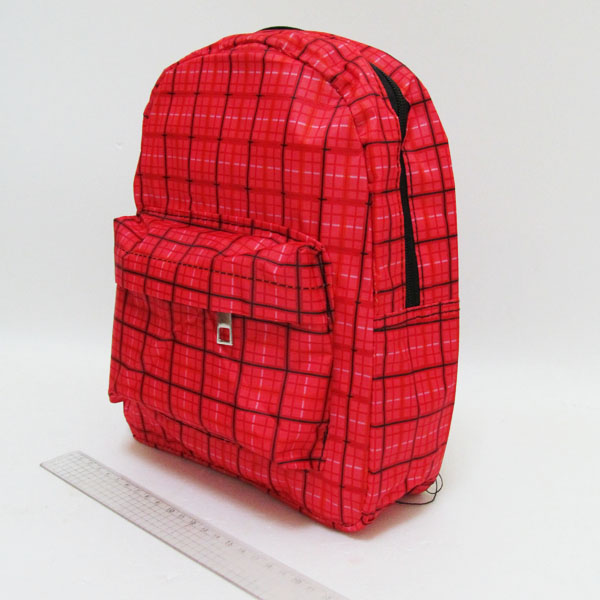 DSCN0635-S-1 Рюкзак с карманом "Сетка" 27х21х9см
