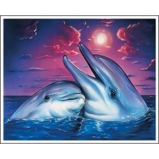 Раскраска по номера 30*40см J.Otten EKTL2019_O Дельфины OPP холст на раме краск. кисти.