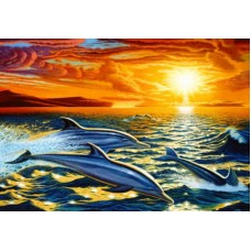 Раскраска по номера 40*50см J.Otten OTG6138_O Дельфины OPP холст на раме с краск.кисти