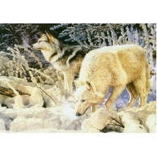 Раскраска по номера 40*50см J.Otten EPH9395_O Волки в зимнем лесу OPP холст на раме с краск.кисти