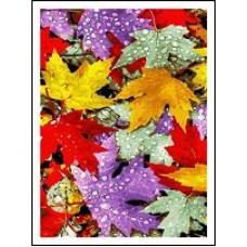 Раск-ка по номер. на дереве 40*50 J.Otten RAD5209 Осенняя листва карт.уп краск. кисти. с этик