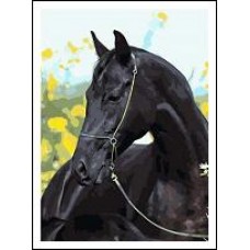 Раскраска по номера на дереве 40*50см J.Otten RAD5531 Черная лошадь карт.уп краск. кисти.