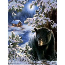 Раскраска по номера 40*50см J.Otten Y5235_B Медведь карт.уп холст на раме краск. кисти.