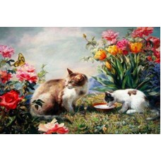 Раскраска по номера 40*50см J.Otten Y5270_B Коты карт.уп холст на раме краск. кисти.