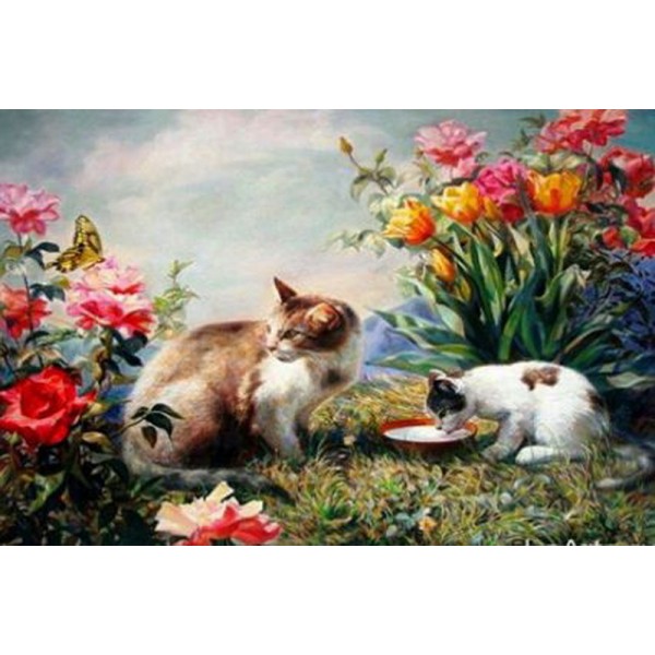 Раскраска по номера 40*50см J.Otten Y5270_B Коты карт.уп холст на раме краск. кисти.