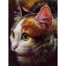 Раскраска по номера 40*50см J.Otten Y5301_O Зеленоглазая кошка OPP холст на раме с краск.кисти