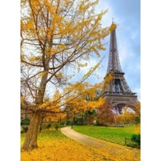 Раскраска по номера 40*50см J.Otten Y5538_B Осень в Париже карт.уп холст на раме краск. кисти.